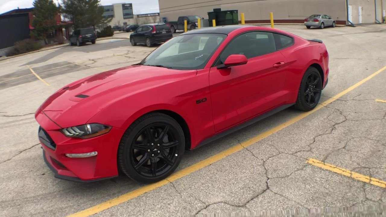 New 2019 Ford Mustang GT 2 Door Coupe in Winnipeg #P2407 | Capital Ford