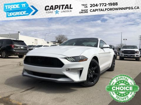 New Ford Vehicles For Sale Capital Ford Winnipeg